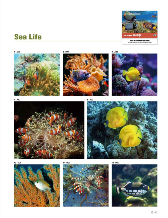 05 Sea Life 05 Sea Life