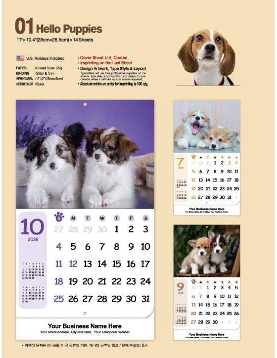 01 Hello Puppies 2026