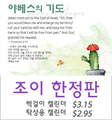 조이 한정판 캘린더